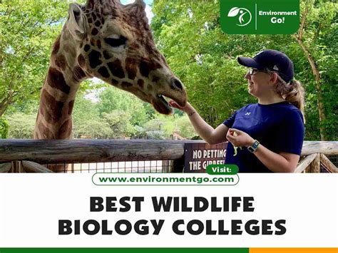 Best colleges for wildlife biology
